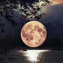 ブログ追加方法