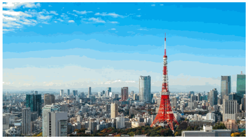 Tokyo Tower Observatory Ticket